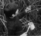 A l‘écoute de l‘enfant