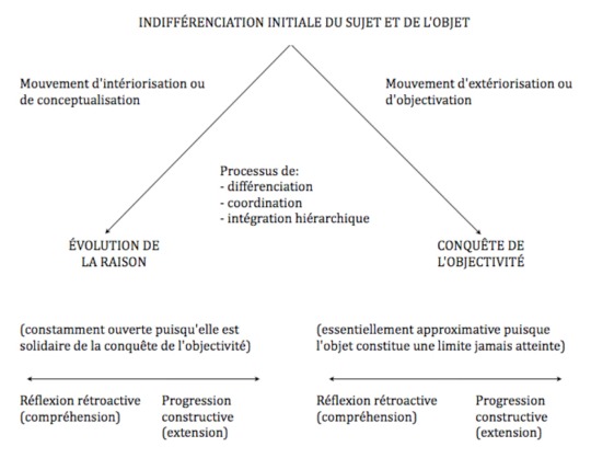 Indifférenciation initiale du sujet et de l'objet